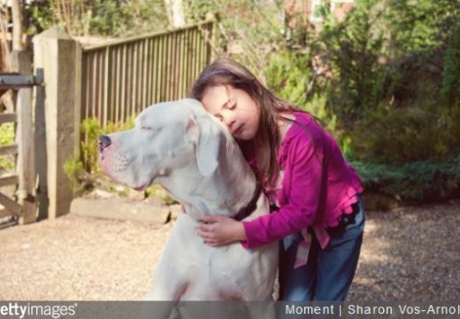 Comment nourrir un chien de grande race ?